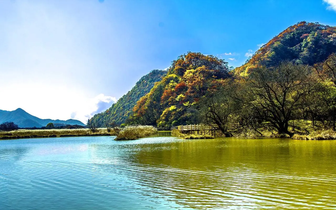高效高性能